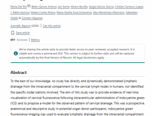 Las Dras. María del Río y Carmen Higueras publican un estudio sobre el drenaje linfático cerebral en Scientific Reports